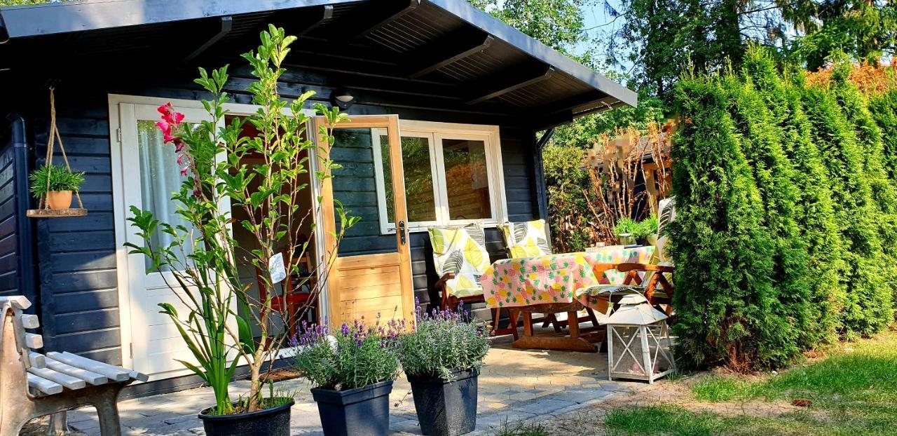 Guesthouse Vakantiehuis In Een Mooie Tuin In Het Centrum Van Zuidlaren! Luaran gambar