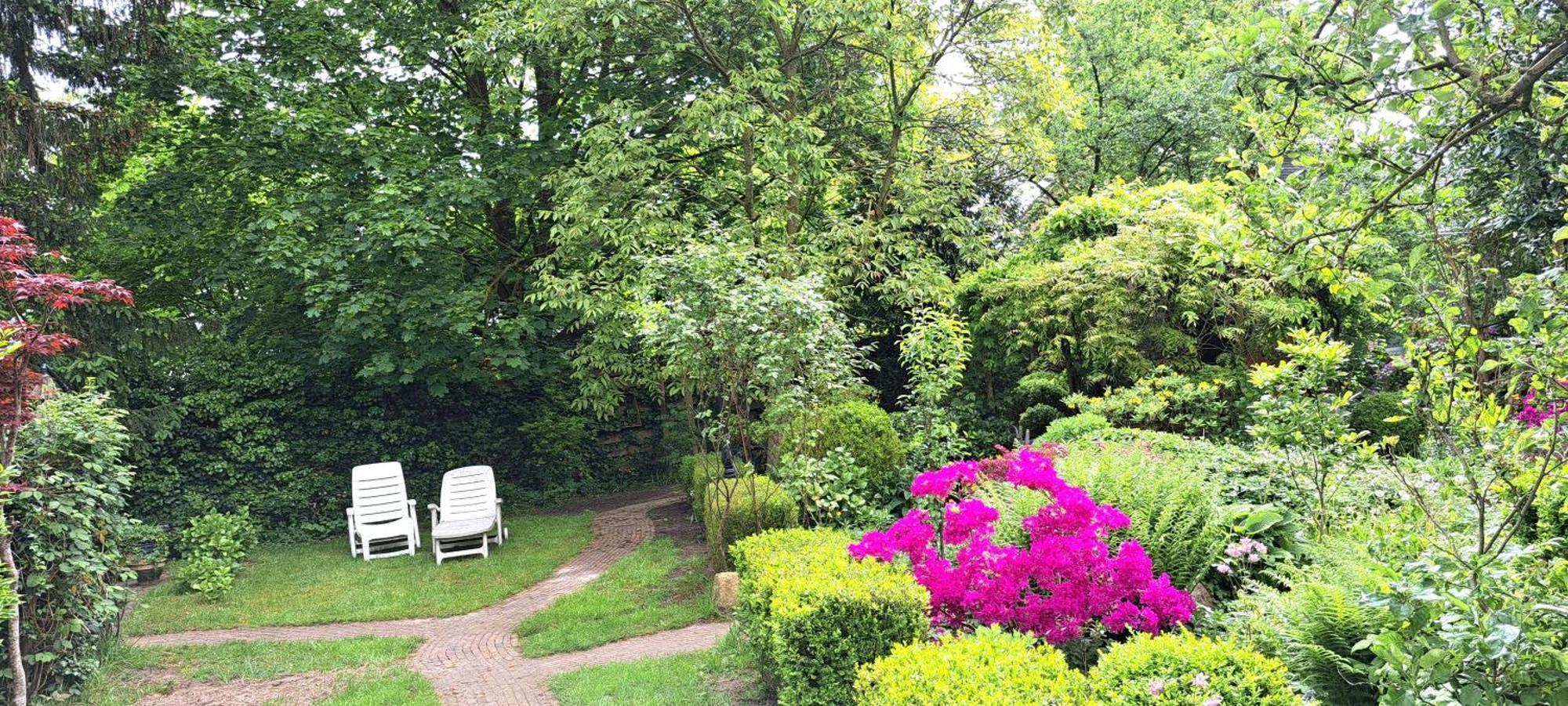 Guesthouse Vakantiehuis In Een Mooie Tuin In Het Centrum Van Zuidlaren! Luaran gambar