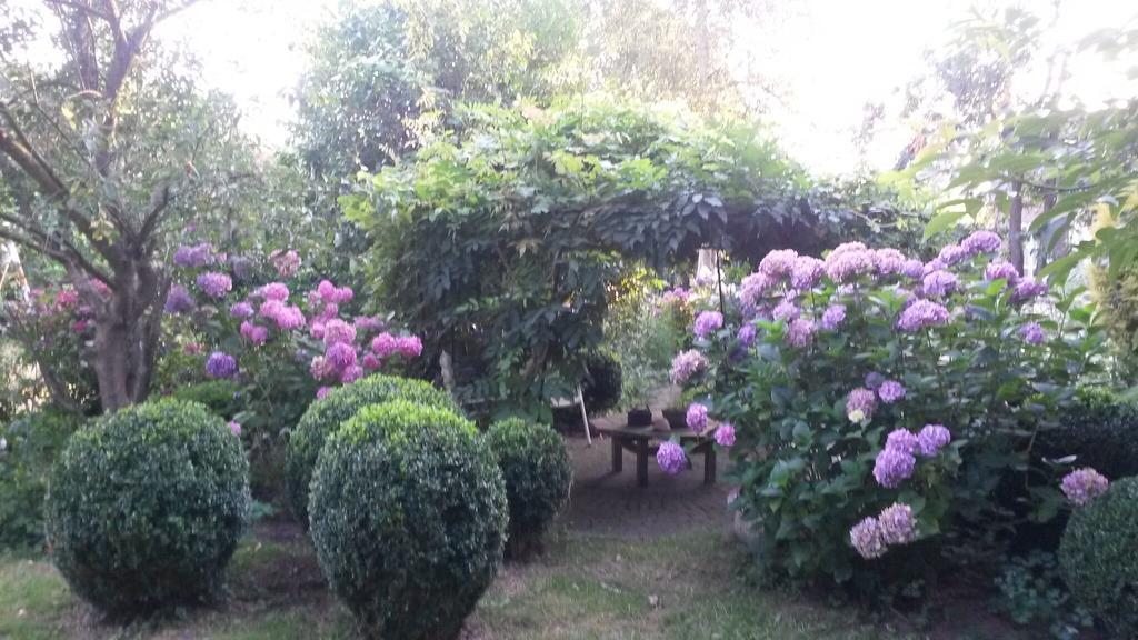 Guesthouse Vakantiehuis In Een Mooie Tuin In Het Centrum Van Zuidlaren! Luaran gambar