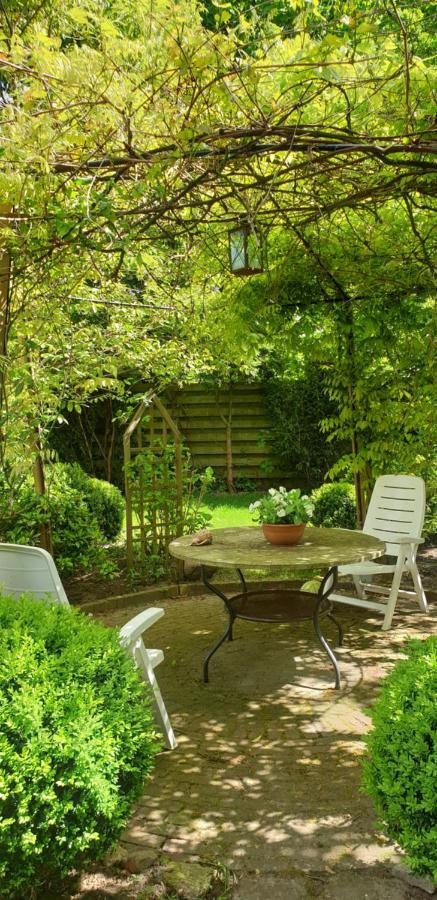 Guesthouse Vakantiehuis In Een Mooie Tuin In Het Centrum Van Zuidlaren! Luaran gambar